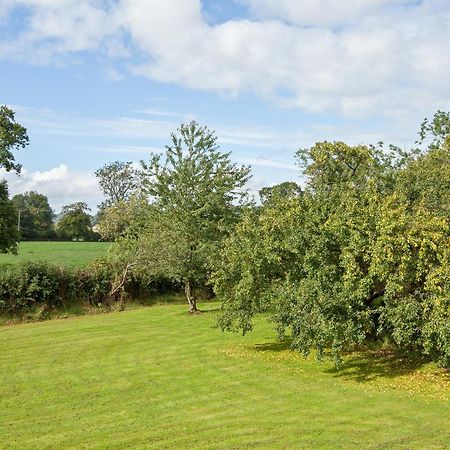 Fir Tree Cottage Standon 외부 사진